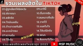 รวมเพลงฮิตใน TikTok [ ผู้ถูกเลือกให้ผิดหวัง ] เพลงเพราะมาแรงในTikTok 2023