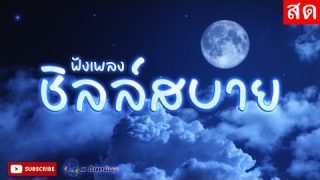 ฟังเพลงออนไลน์ ชิลล์สบาย เพลงฮิต ติดชาร์ต เพราะต่อเนื่อง